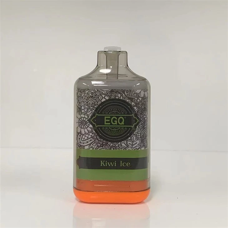 10000 Puffs Disposable Electronic Cigarette Vape