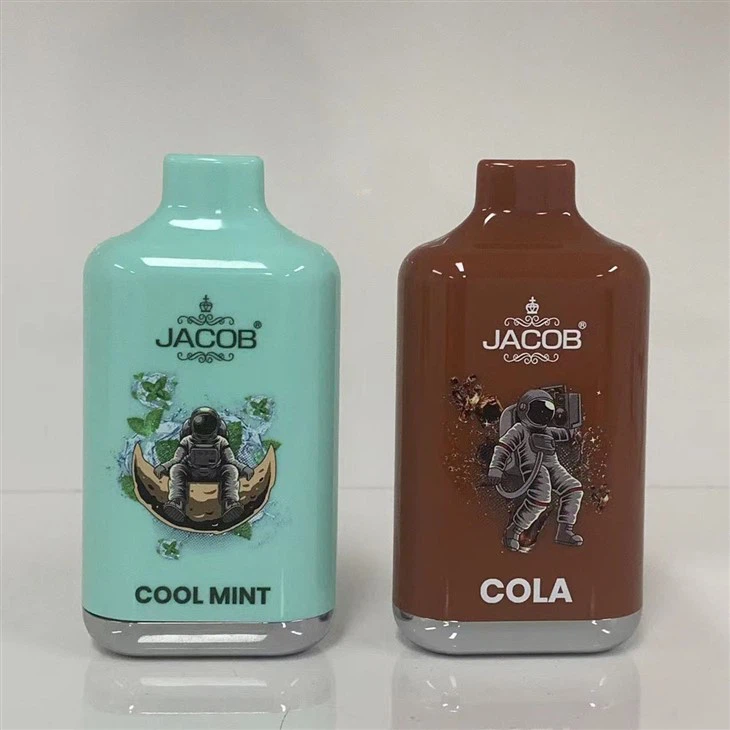 10000 Puffs Disposable Vape Pen Electronic Cigarette