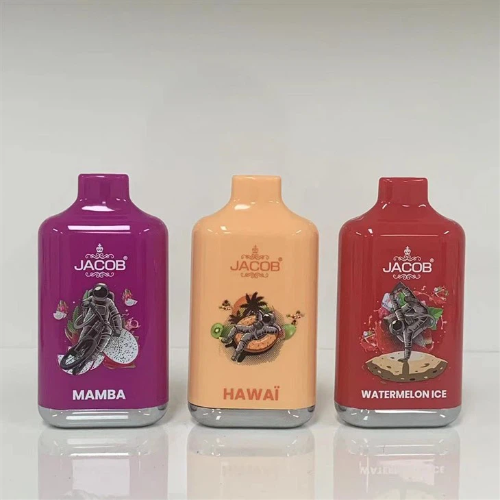 10000 Puffs Disposable Vape Pen Electronic Cigarette