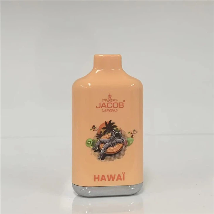 10000 Puffs Disposable Vape Pen Electronic Cigarette