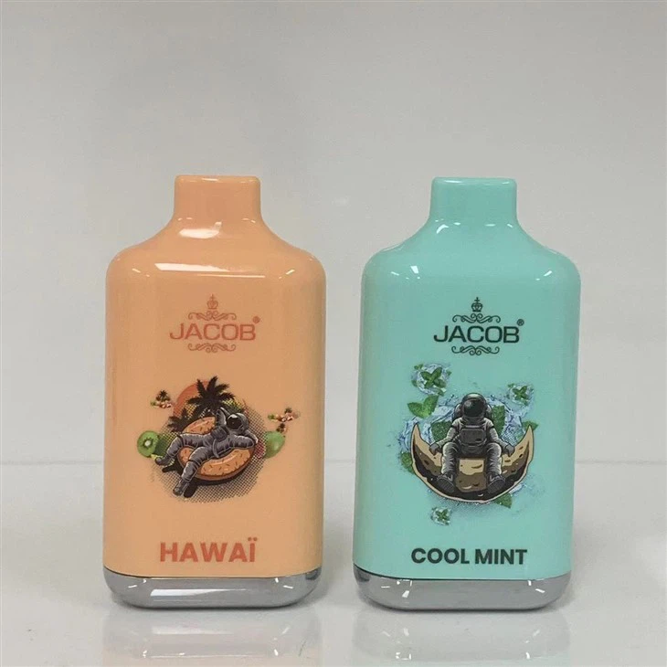 10000 Puffs Disposable Vape Pen Electronic Cigarette